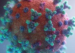 7 تکنیک برای مقابله با کرونا ویروس در بازاریابی و سئو