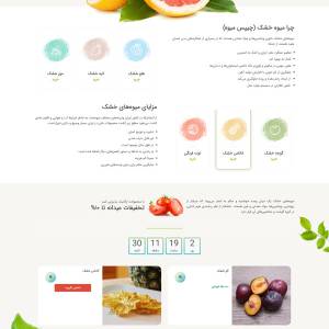 طراحی سایت فندق|فروشگاه میوه خشک