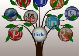 یک درخت با توپ هایی از شبکه اجتماعی